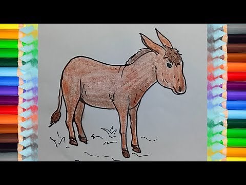 How to Draw a Donkey - Animals drawing and coloring