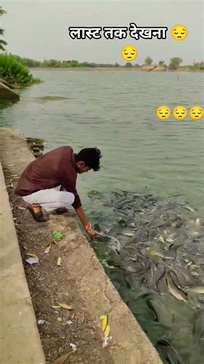 Mood Off 😔😔#ShayariStatus#AIVoiceShayari (If using AI narration)#VisualPoetry#LyricalVideo