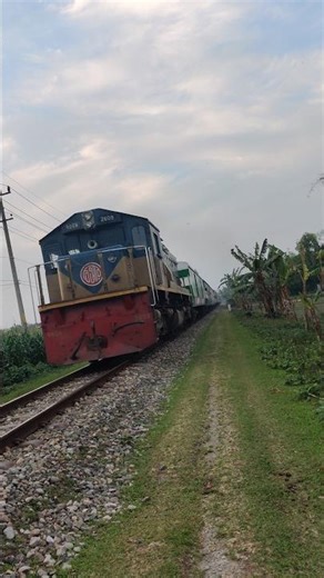 Golden Evening Train Through Green Corn Field | Village Bangladesh View #trainlovers