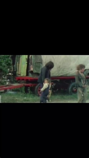 Romany Culture: A Glimpse into the Past and Animals