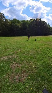 Pepper is a 6-month-old cocker spaniel bursting with personality 🐾 I met her out in the park while out doing dog photography, and she instantly caught my eye with her fluffy legs, playful energy, and sweet puppy face. She’s still young but already knows how to work the camera — and it shows in the shots we captured at the end of the video. #dogphotography #dogphotographer #dogsofinstagram #cockerspaniel #dogportrait | Robinmypictures