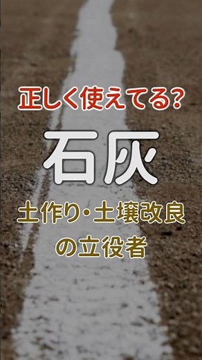 【石灰】正しく使えてる？ 土作り、土壌改良 #家庭菜園 #消石灰 #苦土石灰 #有機石灰