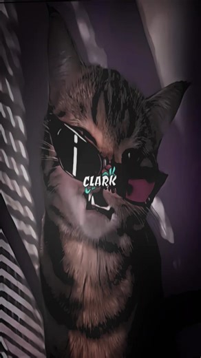 Old is Back: A Nostalgic Return to XML