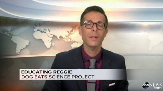 Homework-Eating Dog Undergoes Surgery