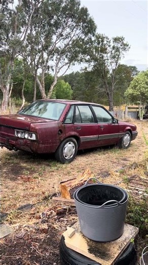 Project vl commodore in the making #vairalvideo #commodore