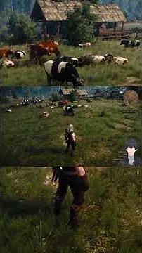 Gold Farmen in Witcher 3 Schnell Geld verdienen