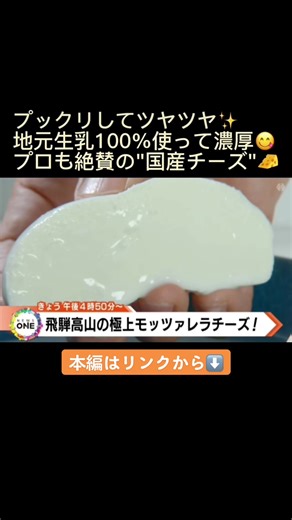 #チーズ の消費量が右肩上がりに増えていますが、#国産チーズ の割合は13.7％で、ほとんどが輸入物です。#岐阜 県#高山 市で国産チーズを広める取り組みをしている男性がいます。「#地産地消 」の#モッツァレラチーズ 作りに取り組んでいる男性を取材しました。#トリデンテ #ニュースONE #TikTokでニュース