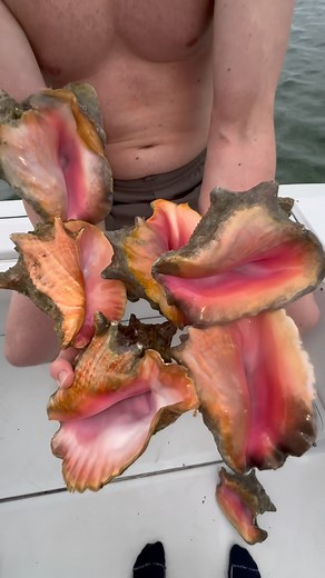 Nick Kratka on Instagram: "Sustainability is what makes it so generations to come can enjoy the outdoors. Only take what you need and never more! @biigwaterguy"