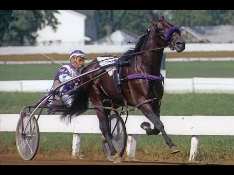 1980 Niatross & Clint Galbraith - Time Trial - camcorder