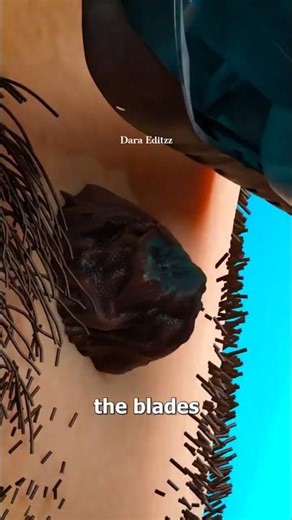 What Happens If Raised Mole Being Cut by Trimmer ?