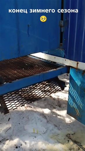 Spring Logging Season: The End of Winter Work