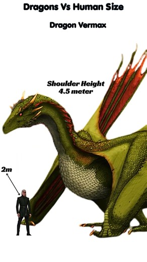 Dragons vs Human size comparison #dragon #houseofthedragon #vermax #vhagar #Balerion #dragons