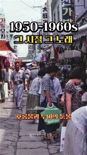 부모님 젊은 날의 희로애락이 담긴 노래 🌿 1950-1960년대 흘러간 옛노래