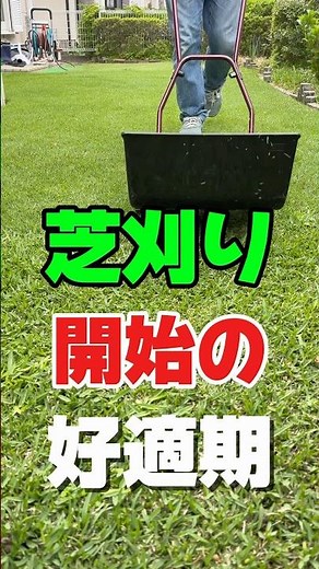 The lawn will tell you the best time to start mowing 😊