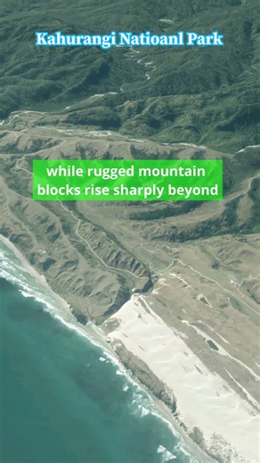 Kahurangi National Park 3D Flyover | New Zealand's Untamed Northwest: Braided Rivers & Rugged Peaks