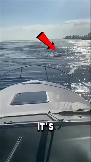 The Deadly Power of a Whirlpool! 🌊