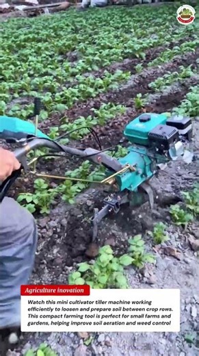 Mini Cultivator Tiller Machine in Action | Powerful Soil Preparation Tool