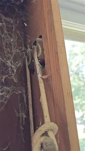 Fun Fact about Old Window Counterweights