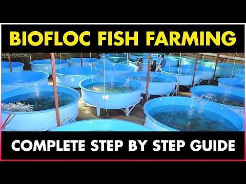 How To Start Biofloc Farming | Biofloc Fish Farming | Biofloc Farming Guide| What is Biofloc farming