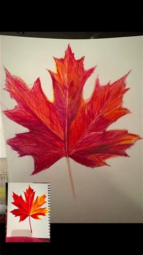 “Realistic Autumn Maple Leaf Drawing | Colored Pencil Art”