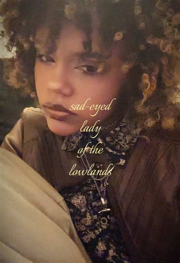 oh bob dylan, what a song writer u are #sadeyedladyofthelowlands #bobdylan #60s #70s #folk