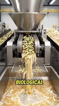 How Biofuels are Actually Made From Plants?