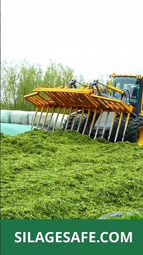 Silage Safe: The Ultimate Way to Preserve Your Forage