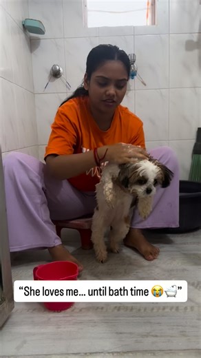 Stella&hermom on Instagram: "Dog parents will understand this struggle 🥲 Bath day = full attitude mode 🐾 #furbaby #dogsofinstagram #reelitfeelit #explorepage✨ #viral [dog bath time angry dog funny dog moments pet parent life shih tzu attitude dog tantrums pet grooming struggle relatable pet reel cute but angry dog dog mom life viral pet video]"