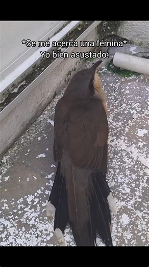 46K views · 862 reactions | Dragon Fire on Reels | Facebook