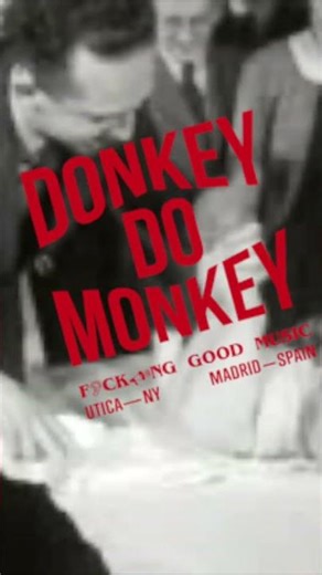Donkey Do Monkey - Ode to Donnie - Stinky Old Man