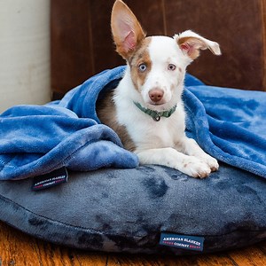 Pet Blankets - Luster Loft Fleece