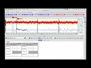 Respiratory Cycle Lab Data Analysis
