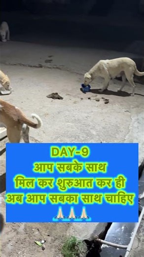 ❤️❤️❤️❤️#shortsvideo #trending #love #doglove