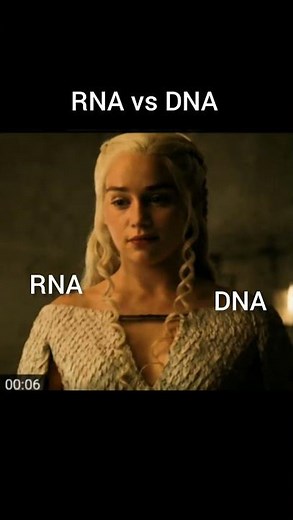 RNA VS DNA #chemhumor