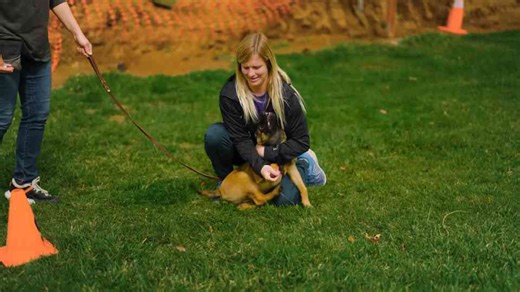 How early recall training can prevent danger and build trust