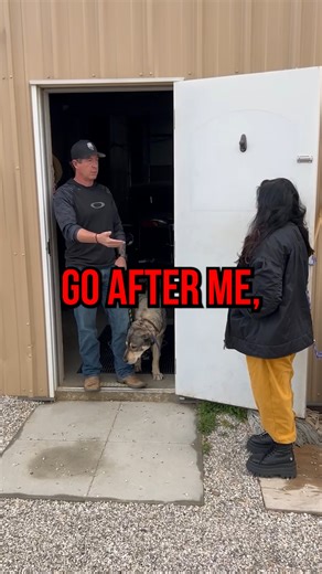 SPATIAL PRESSURE: one of the most crucial components to training any dog ✅ Spatial Pressure is the art of using your body language to communicate to an animal what it is you want and expect from them. Is this something you utilize when training your animals or do you have a different approach and methods? Let us know your thoughts in the comments down below ⬇ Choosing the RIGHT DOG TRAINER is the difference between a happy household and constant frustration. K9 Intuition specializes in “the wors