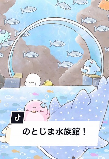のとじま水族館のアシカショー再開✨