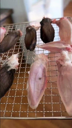 We use this Cosori dehydrator for all kinds of things!