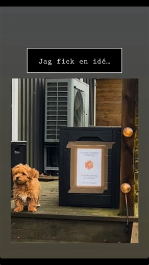 Cecilia Winge on Instagram: "Vi handlar mat online varje vecka. Vi får många andra leveranser i perioder, speciellt just nu i samband med jul och födelsedagar. Ibland är jag/vi inte hemma och kan ta emot varorna och de flesta vet ju hur vädret är i Göteborg så här års. Flera paket har blivit sååå förstörda av väder och vind, många mat-kassar som gått sönder i botten! • Så, jag köpte den billigaste dynboxen jag kunde hitta och så skrev jag ut en söt liten leverans-instruktion! 🥰 • Hoppas nu alla