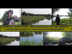 RSPB Ham Wall wetland nature reserve Somerset - a haven for wildlife and escape from everyday life