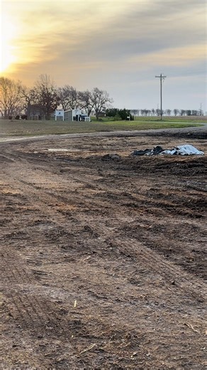 Challenges in Loading Cattle for Beef Production