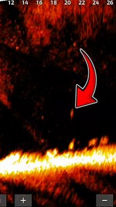 444 reactions · 15 comments | When it’s gets windy it’s time to break out the @rapalausa jigging raps!!! #Walleye #walleyefishing #fishing #shorts #explorepage #explore #targetwalleye | Target Walleye | Facebook