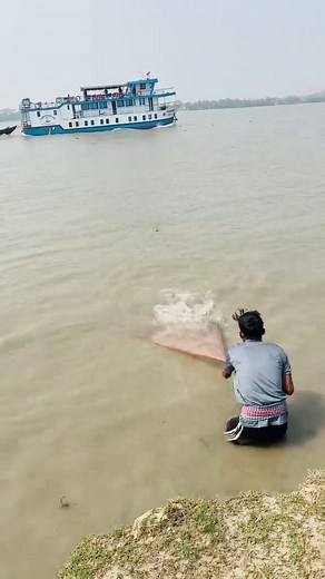 Massive Fish Catch with Cast Net in Sundarbans