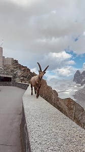 8K reactions · 122 shares | A summer of endless opportunities. It's high time to discover the mountains around Zermatt. | Zermatt Matterhorn | Facebook