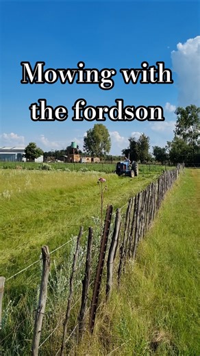 mowing with the old fordson major tractor #team #tractor #work #mower #farming #farmlife #country