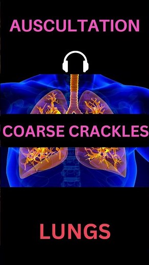 Abnormal Lung Sound - Coarse Crackles #medicine #plab #usmle #medstudent #revision #quickmedic