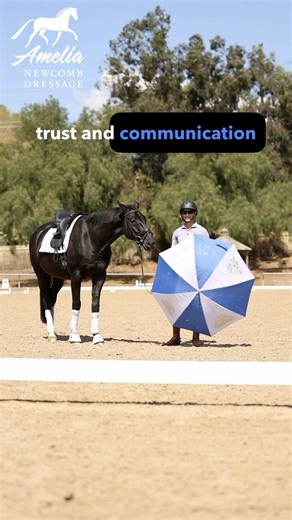 When you and your horse truly understand each other, everything changes — your rides become safer, smoother, and so much more enjoyable. 🏇✨ In my FREE Groundwork Webinar, I’ll be sharing my proven step-by-step approach to creating that deep connection and mutual trust through groundwork. 💪🐴 🔥 Join me LIVE on Sunday, November 2nd at 12:00 noon PT to learn how you can transform your relationship with your horse from the ground up. ⚠️ Seats are limited, so don’t wait! 🗣️ Comment “RSVP” below a