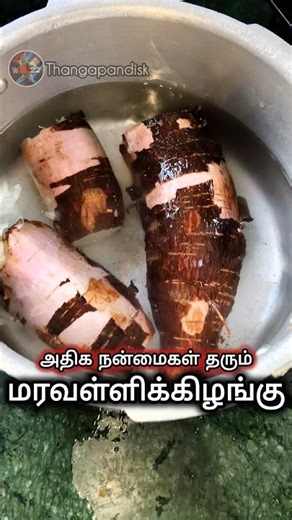 மரவள்ளி கிழங்கு Healthy Breakfast #keralafood #kappakilangu #maravallikilangu #casavarecipe #shorts