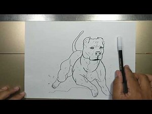 How to draw PITBULL step by step