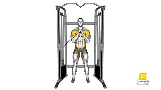 Cable Vertical Pallof Press